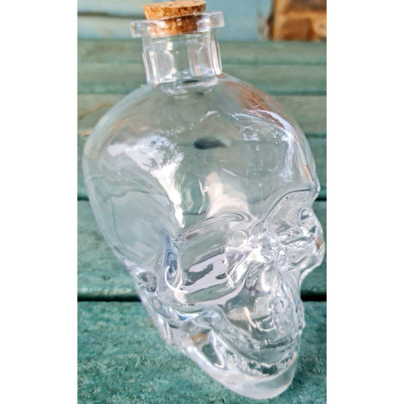 Skull bottle outlet holder