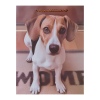 Dog Printed Paper Gift Bag Gift bag