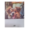 paper gift bag papillon dog back