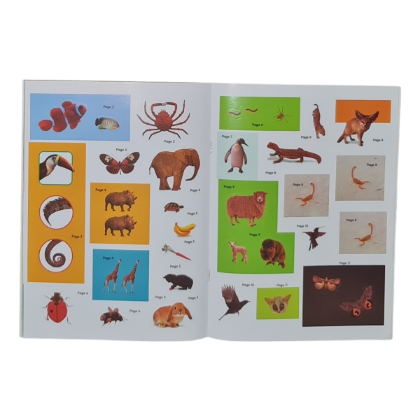 Kids Edu Sticker Book_Animals Sample