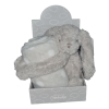 Soft Bunny Holding Blanket Bunny with Blanket